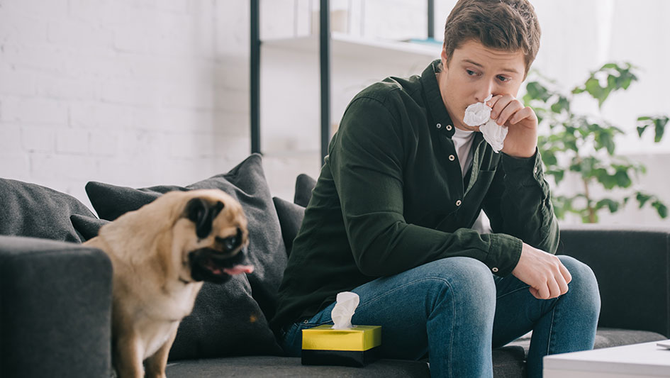 Purchasing an air purifier is one of the smartest approaches to improve your house’s indoor air quality. Find out more about the three smartest options. 